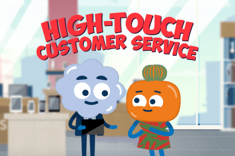 High-Touch Customer Service
